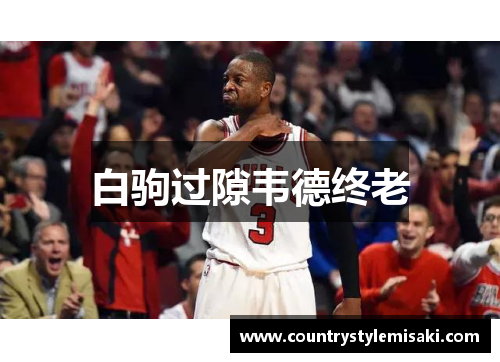 白驹过隙韦德终老